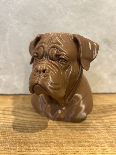 Dogue bordeaux mastiff dog - de,