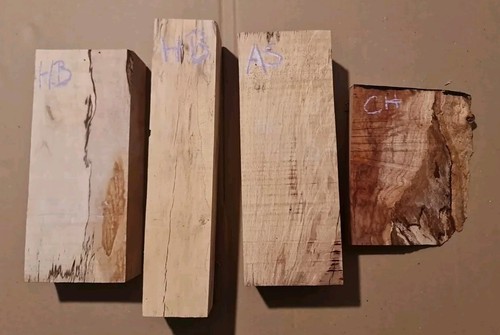 Spalted old hornbeam - x2, x1