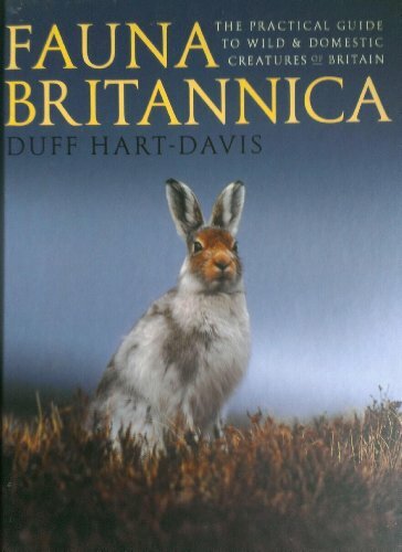 Fauna britannica duff - by,