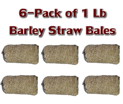 Pack easypro barley straw - of,