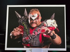 Animal Legion of Doom Road