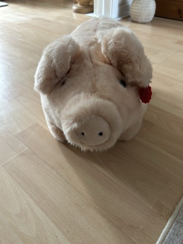Pig soft toy - soft,