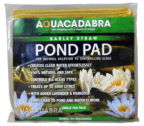 Aquacadabra single barley - aquacadabra,