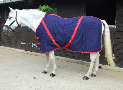 Rhinegold summer horse pony - rhinegold,