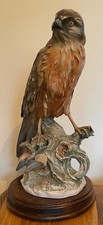 GUISEPPE ARMANI - Red Shouldered Hawk - 15.25" Capodimonte 1980s