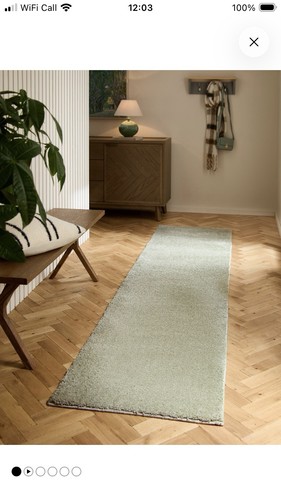 Sage green rug next large - rug,