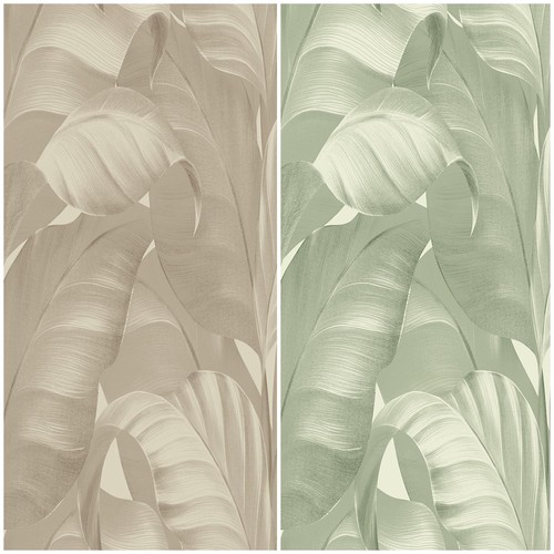 Sumatra palm wallpaper - sumatra,