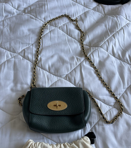 Rare mulberry mini lily - ⭐️mulberry,