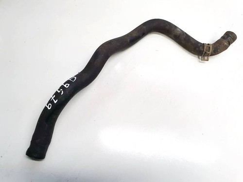 Radiator hose - (water, hose)