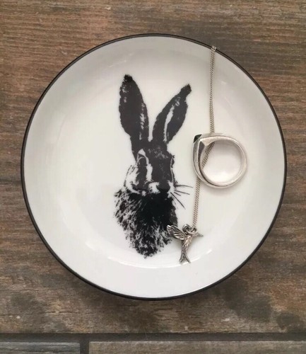 New rabbit sweet - sweet, little