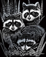 RACCOONS FAMILY A4 SILVER SCRAPER FOIL ENGRAVING ART CRAFT KIT & TOOL SILF46
