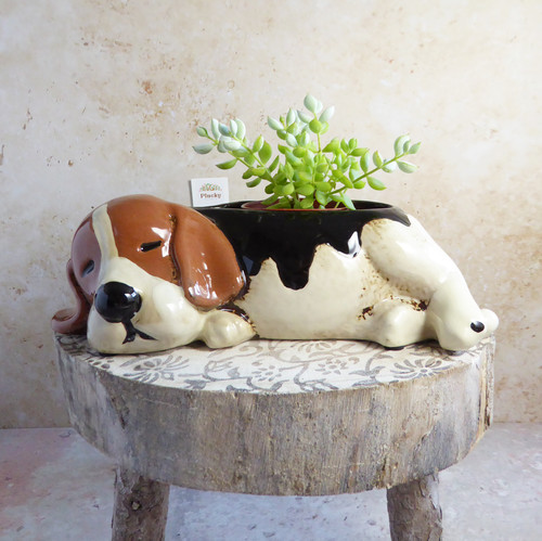 Heaven sends ceramic beagle - heaven,