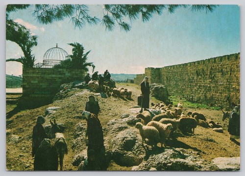Jerusalem cattle market - by, old
