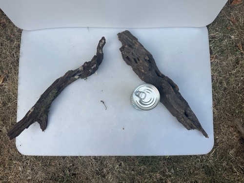 Bogwood spider wood corbo - bogwood,