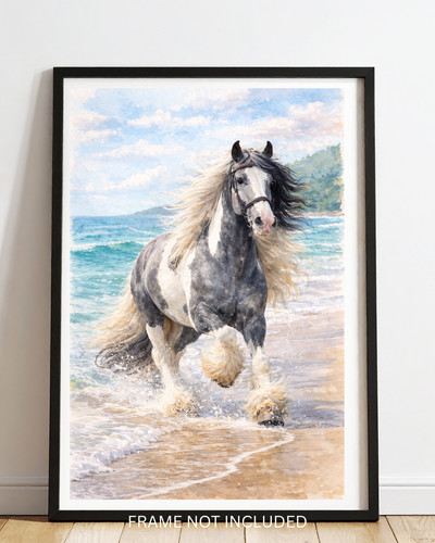 Gypsy grey and white horse - , a4