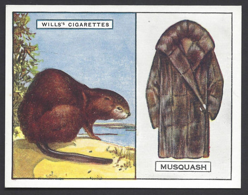 Wills animals and their - their, furs