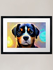 Bernese Mountain Dog Puppy in