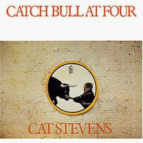 Cat stevens catch bull - bull, at