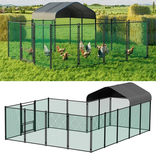 Heavy duty chicken - chicken, coop
