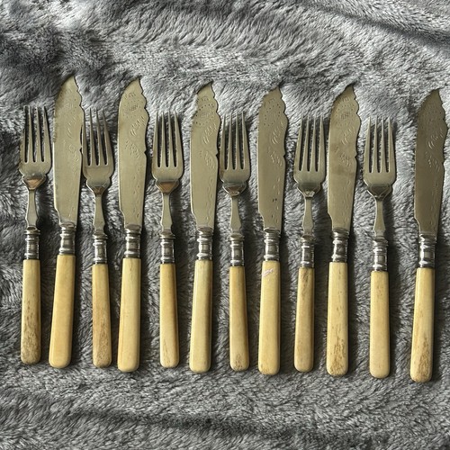Set silver plate - 6,