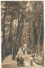 Bournemouth, The Invalids Walk, 1907 LL postcard
