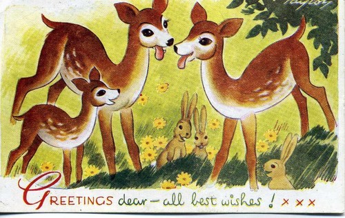 Bamforth play time pets - play-time,