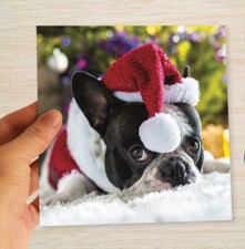 French Bulldog Christmas Cards & Packs Frenchie Xmas Card From the Dog Santa