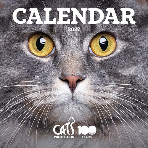 Cats protection 2027 - cats,