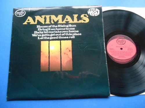 The animals - most, of