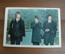 C coloured beatles - &,