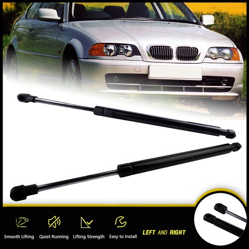 Tailgate boot gas - 2x,