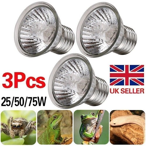 3pcs reptile light bulb - 3pcs,