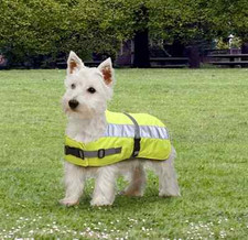 Petlife Flecta Hi-vis Dog