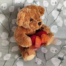Aurora Teddy Bear Holding