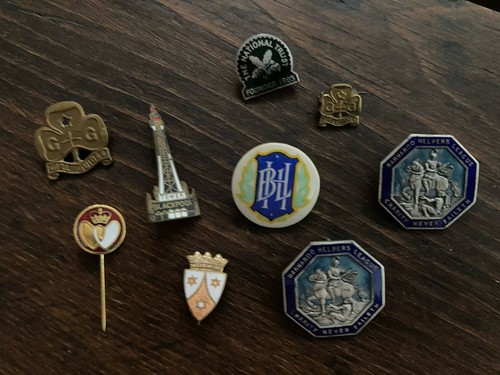 Badges various types - 9, badges,various
