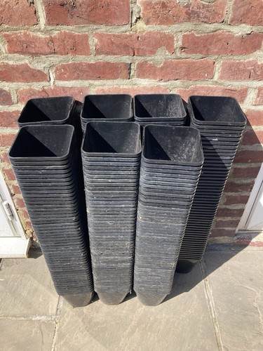 Litre plant pots square - plant,