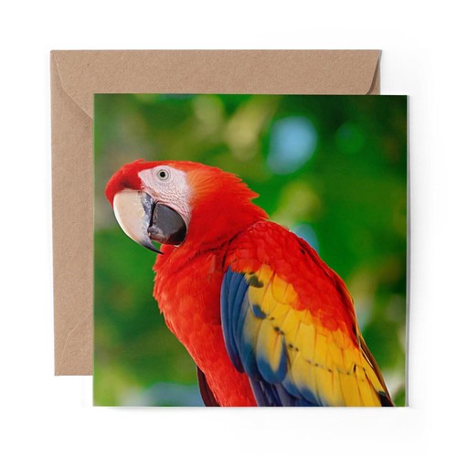 Blank greeting card - x,