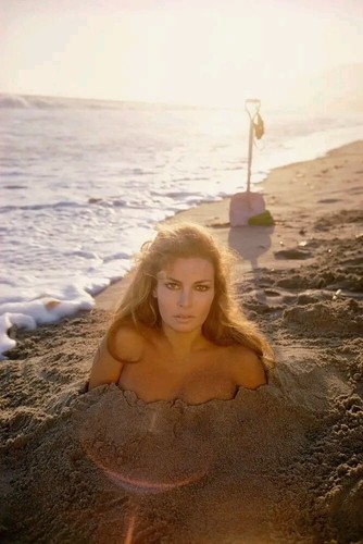 Raquel welch glossy photo - raquel,