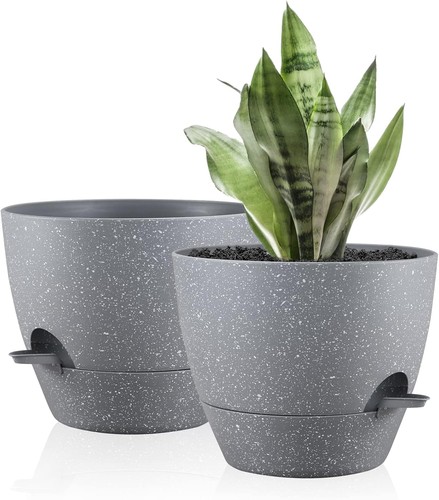 25cm self watering plant - 25cm, self-watering