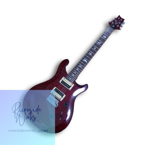 Prs custom24 electric - se,