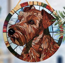 IRISH Lakeland Terrier Dog