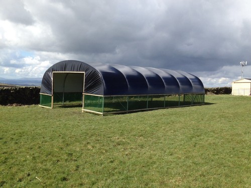 Field sheep shelter livestock - sheep,