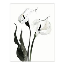 Calla Lily Flower Black White Watercolour Lilies Wall Art Poster Print