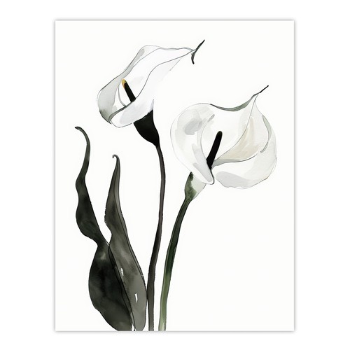 Calla lily flower black - lily,