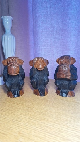 Wise monkey hand - wise,
