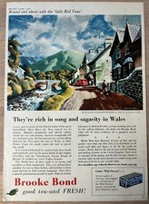 1950's BEDDGELERT WALES BROOKE BOND TEA LARGE ADVERT Little Red Vans 1955 Ad