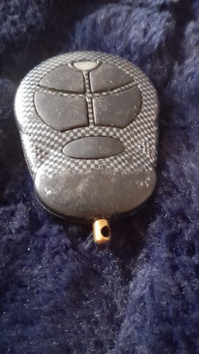 Clifford button remote alarm - clifford,