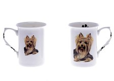 BB62 SET OF 2 BONE CHINA BEAKERS/ MUGS YORKSHIRE TERRIER GIFT BOX
