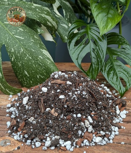 Monstera potting mix peat - potting,