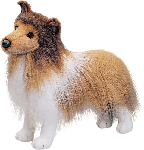Douglas dixie sheltie dog - dixie,